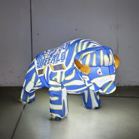 Blue, white and gold baby buffalo hockey inflatable lit up at night, front angle